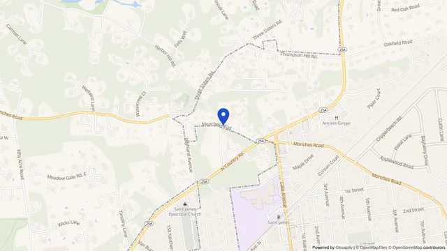 Mapa que muestra la ubicación de Mills Pond Nursing and Rehab Center en 273 Moriches Road, St. James, NY 11780 — DachiPlus ofrece transporte médico aquí.