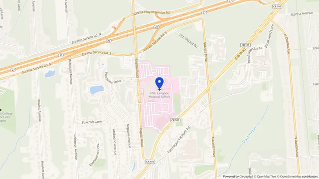 Map showing the location of NYU Langone Hospital — Suffolk at 101 Hospital Rd, Patchogue, NY 11772, served by DachiPlus medical transportation.