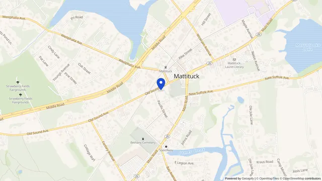 Map showing the location of Town of Southold Senior Adult Day Care at 750 Pacific St, Mattituck, NY 11952, served by DachiPlus medical transportation.